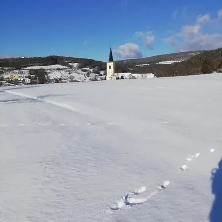 Проживание в семье U Kastanu